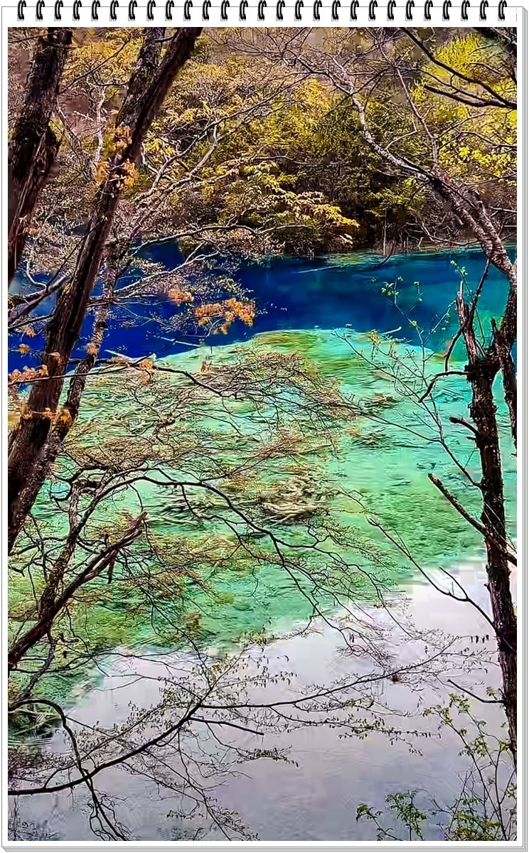 2025年- 九寨沟风光抓拍-0378