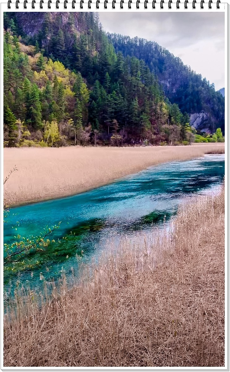 2025年- 九寨沟风光抓拍-0378