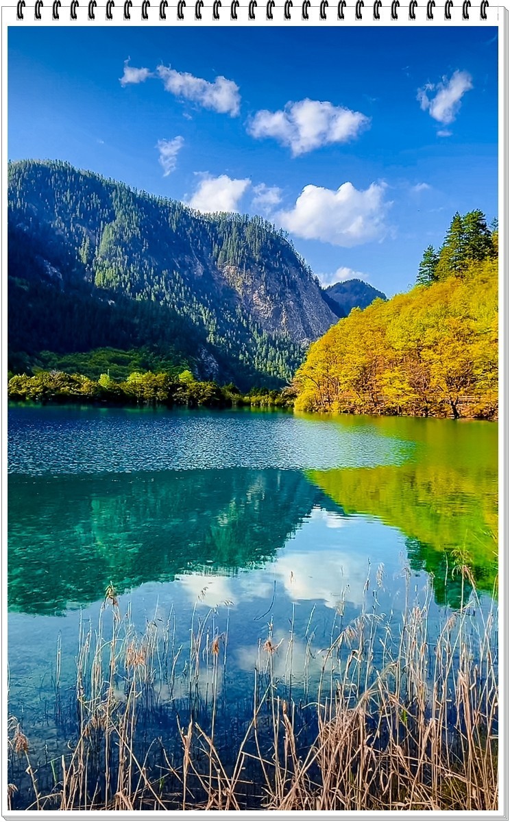 2025年- 九寨沟风光抓拍-0378