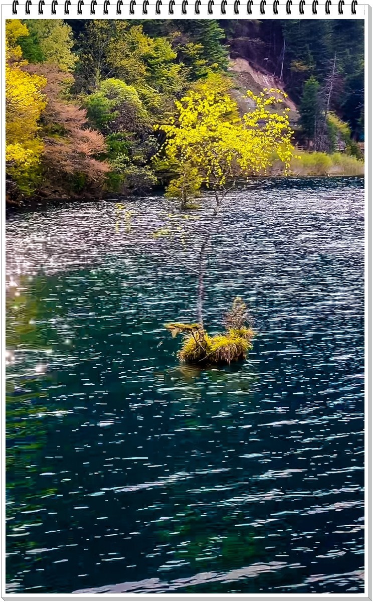 2025年- 九寨沟风光抓拍-0378