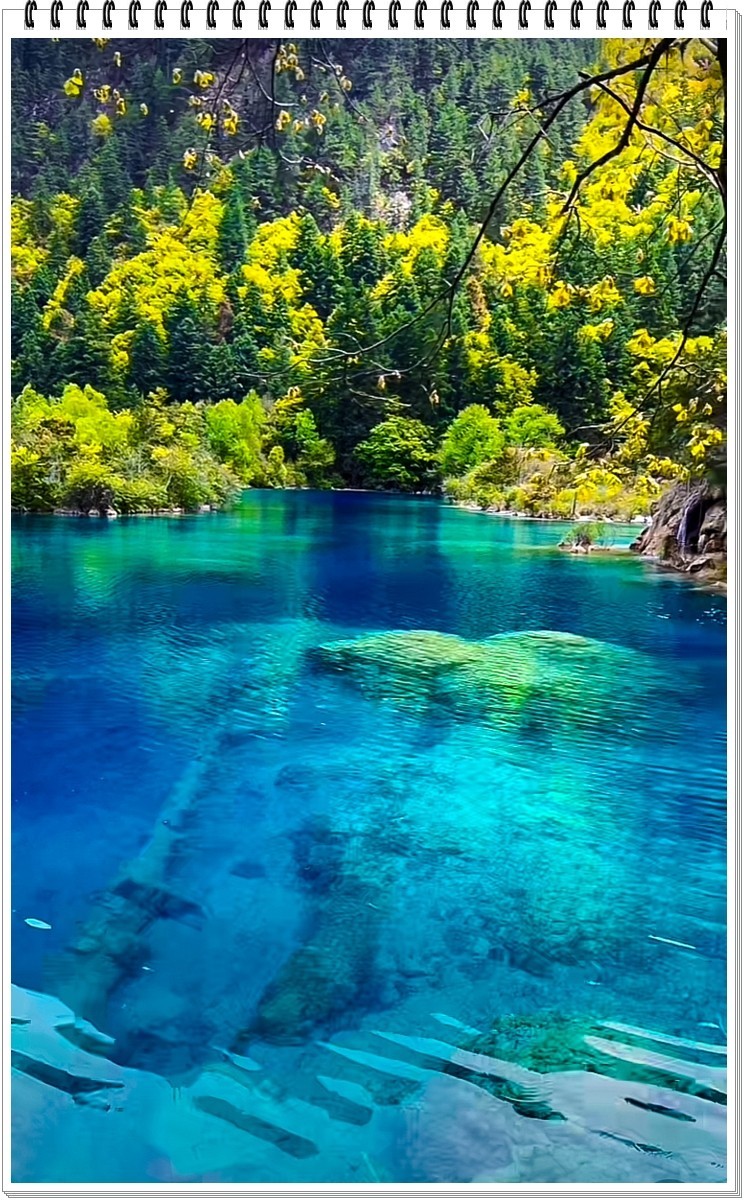 2025年- 九寨沟风光抓拍-0378