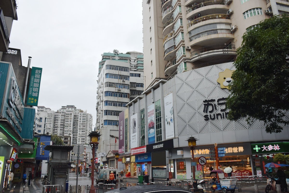 2025春节 广东行（154）风度路步行街