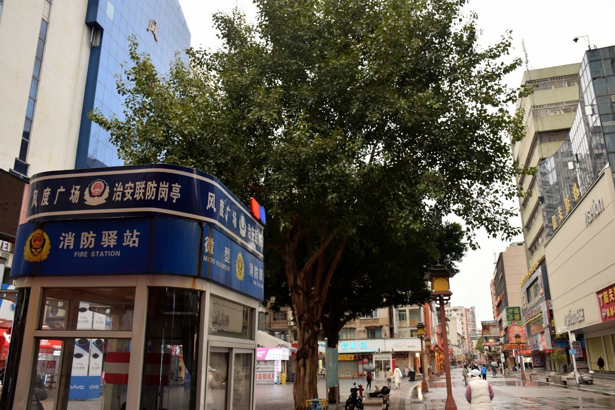 2025春节 广东行（154）风度路步行街