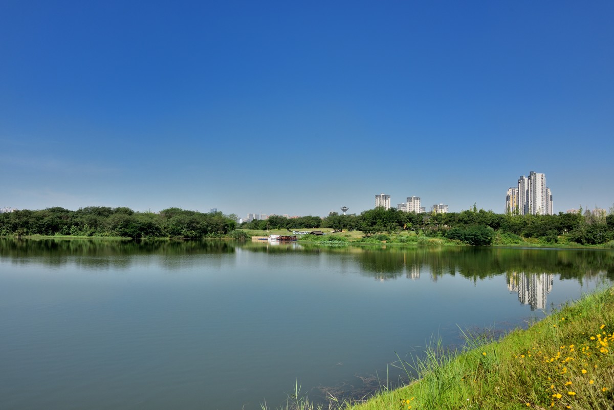 小青龙河湿地公园图片