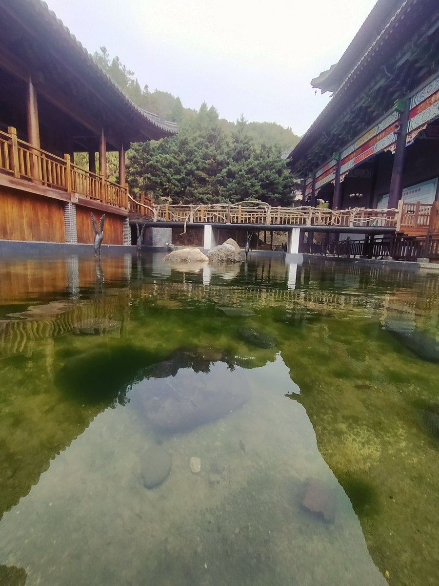 漫步星城 走街串巷（328）义工是菩萨行者