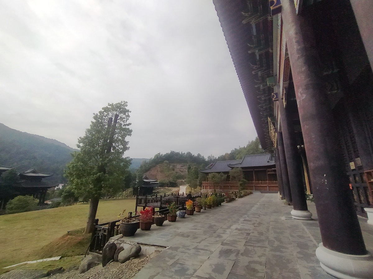 漫步星城 走街串巷（328）义工是菩萨行者