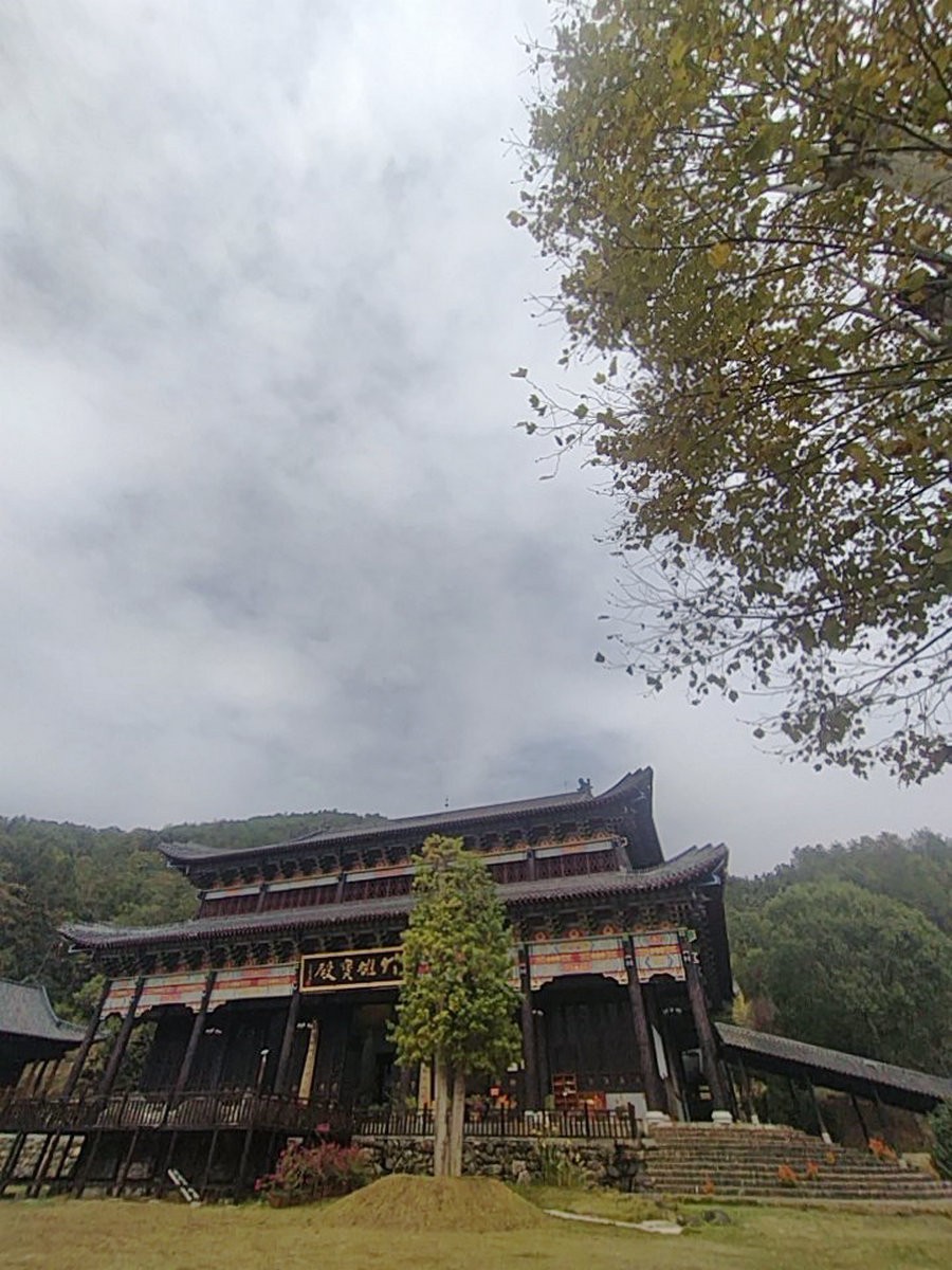 漫步星城 走街串巷（328）义工是菩萨行者