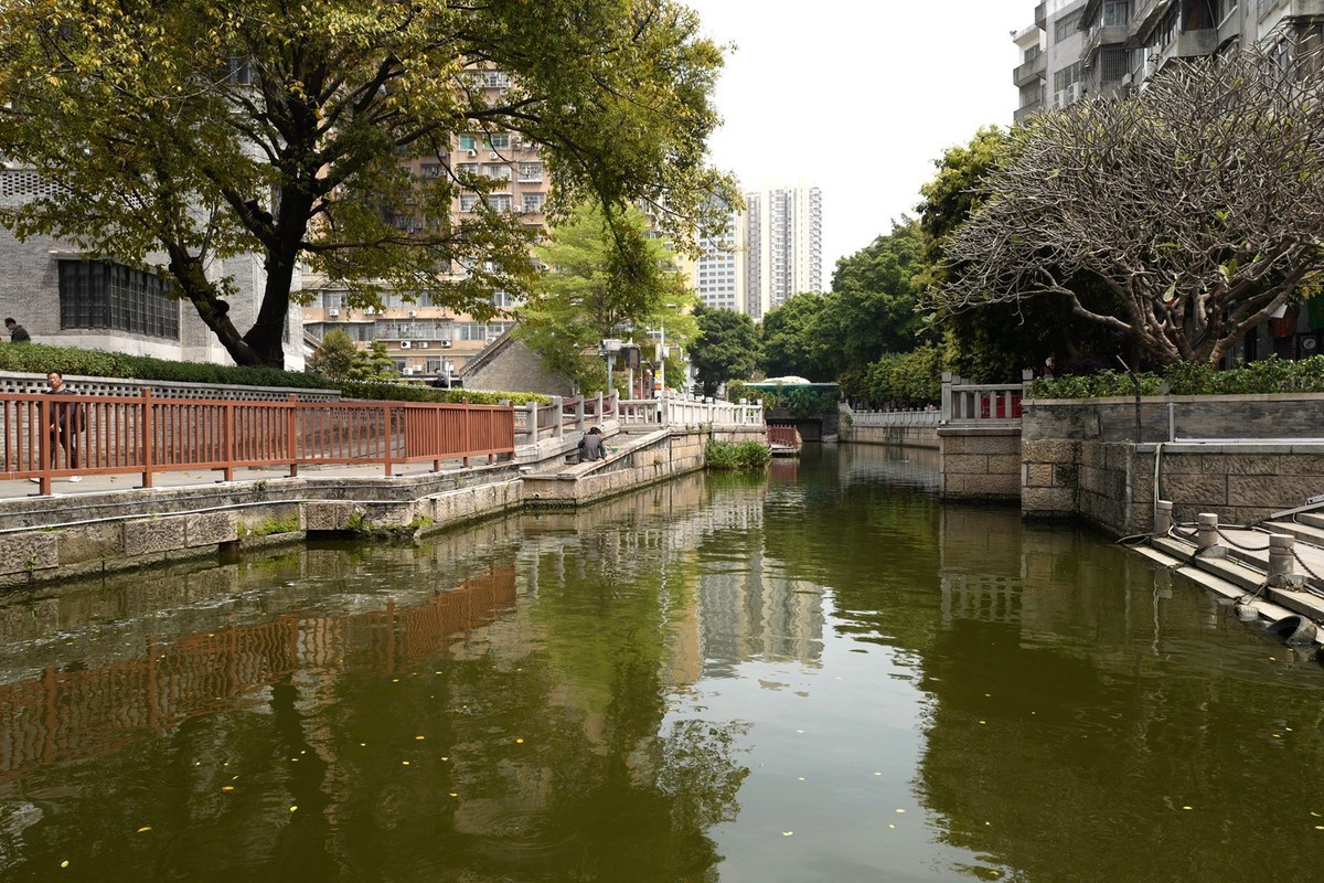 荔湾湖公园随拍（3.15）（14）