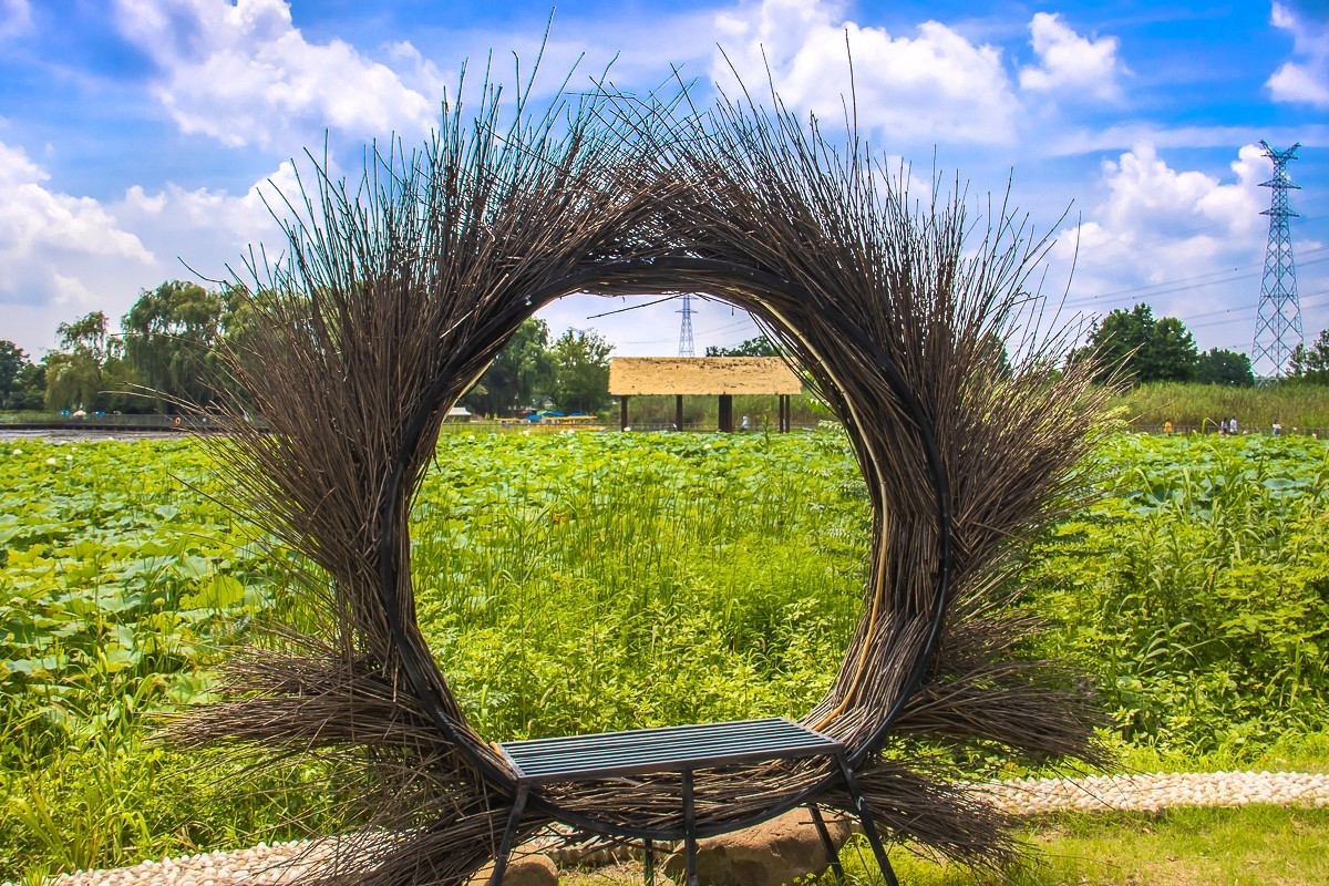 2023-08-26南京西埂莲乡（十三）