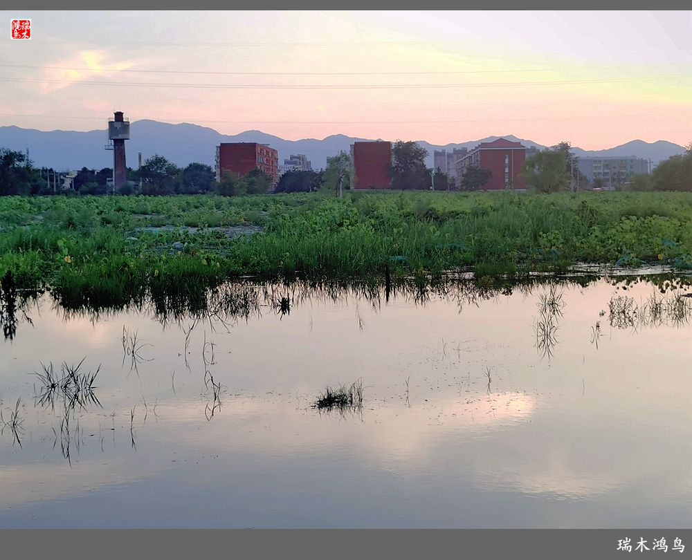 【沙河轶事】貌似沙河   在水一方