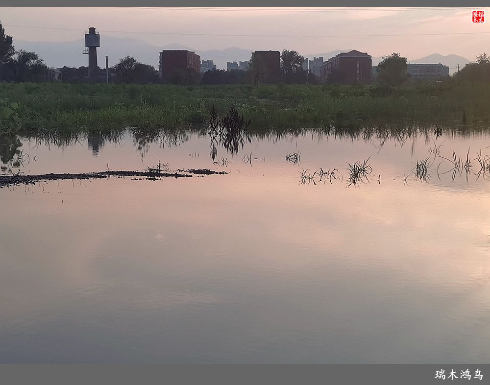 【沙河轶事】貌似沙河   在水一方