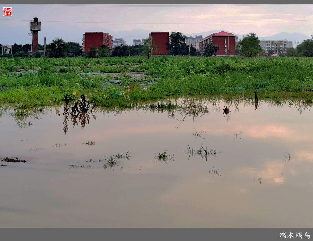 【沙河轶事】貌似沙河   在水一方