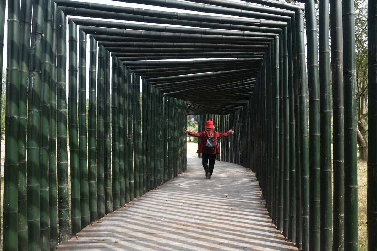 梦里水乡（绩溪仁里）