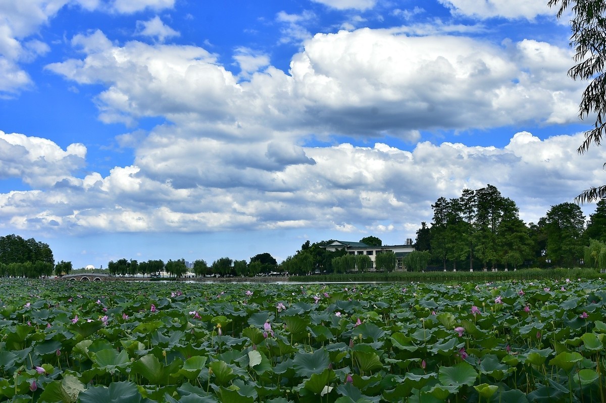 东湖风光   云卷云舒