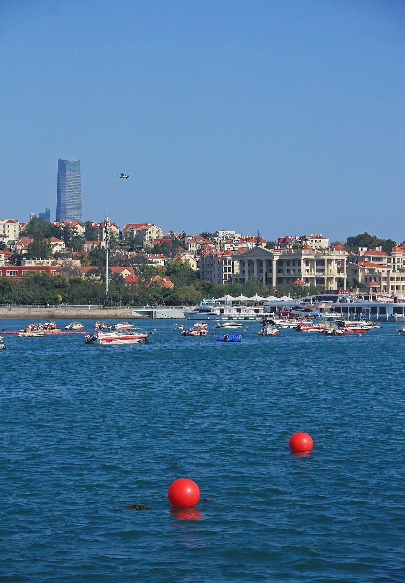 重阳节一贴《溜圈随拍抓拍风景，花草和妹子》祝大家节日快乐！