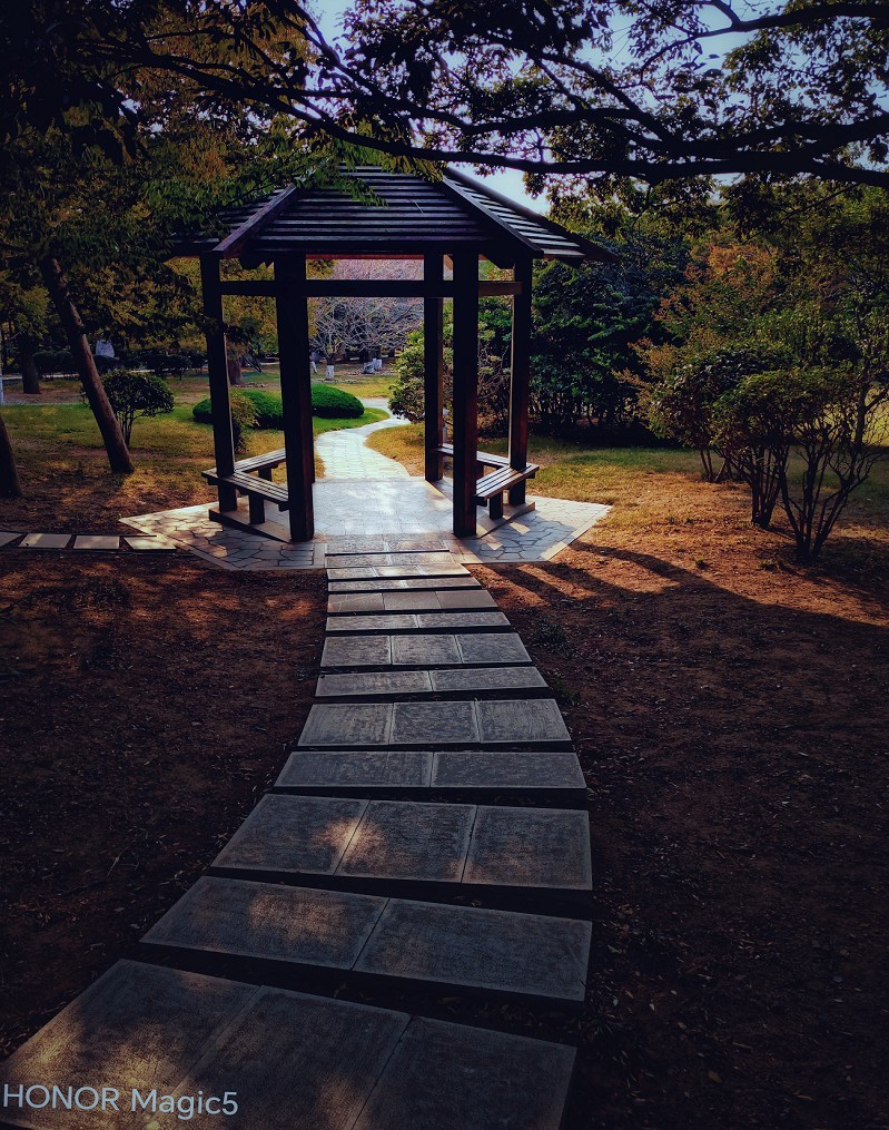 重阳节一贴《溜圈随拍抓拍风景，花草和妹子》祝大家节日快乐！