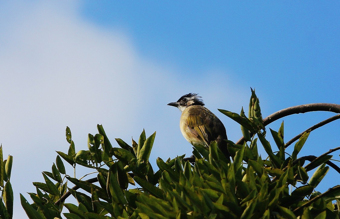 重阳节一贴《溜圈随拍抓拍风景，花草和妹子》祝大家节日快乐！