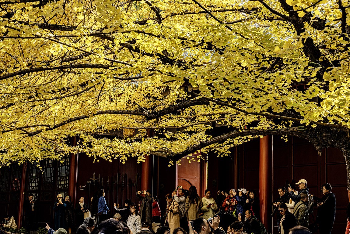 四川成都--崇州--罨画池秋色【7】