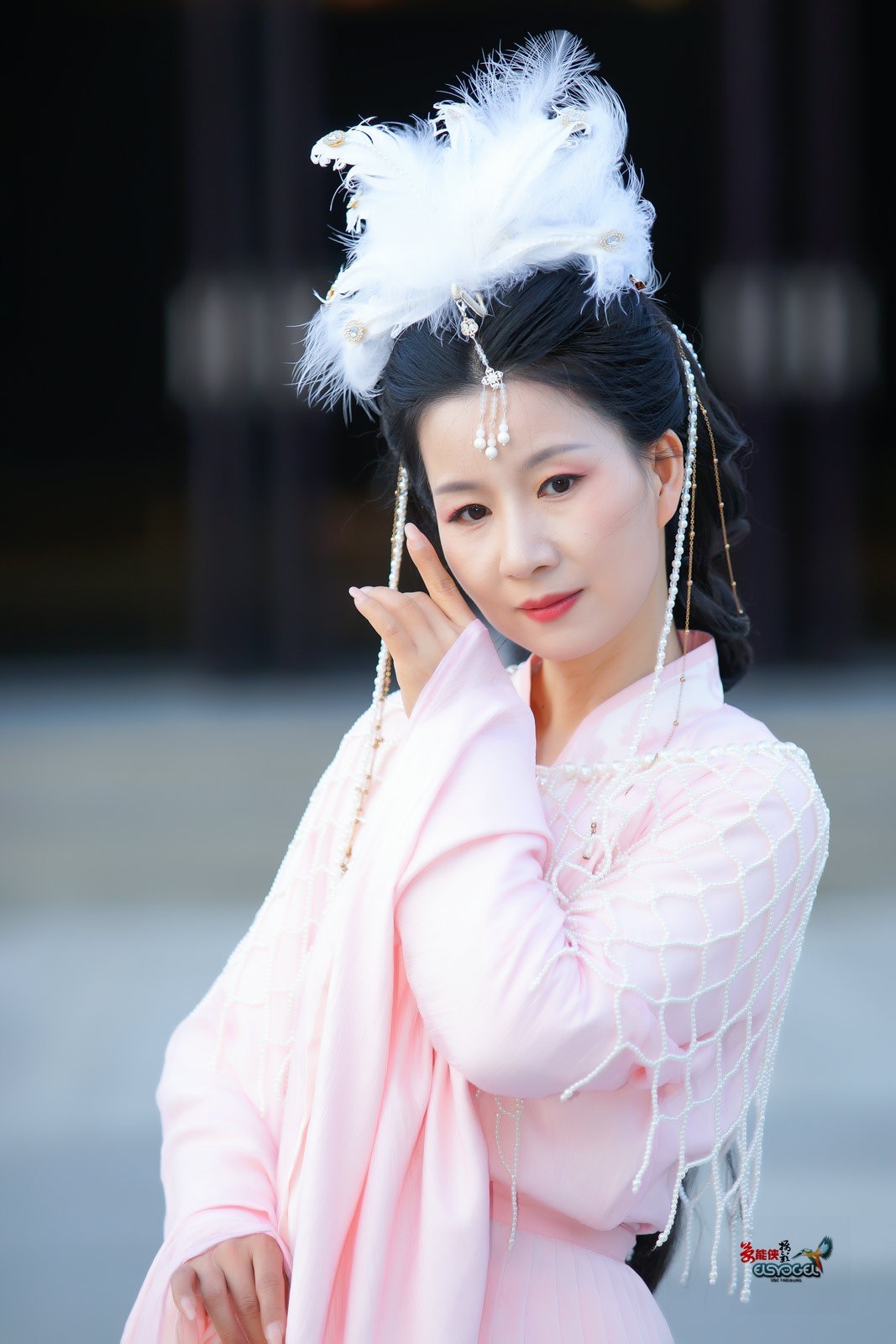 【城楼倩影】---婉灵