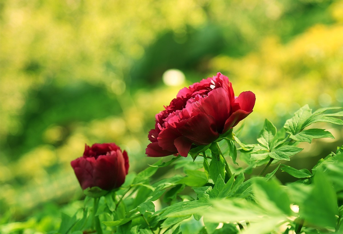 祝各位老师春节愉快！虎年好运！