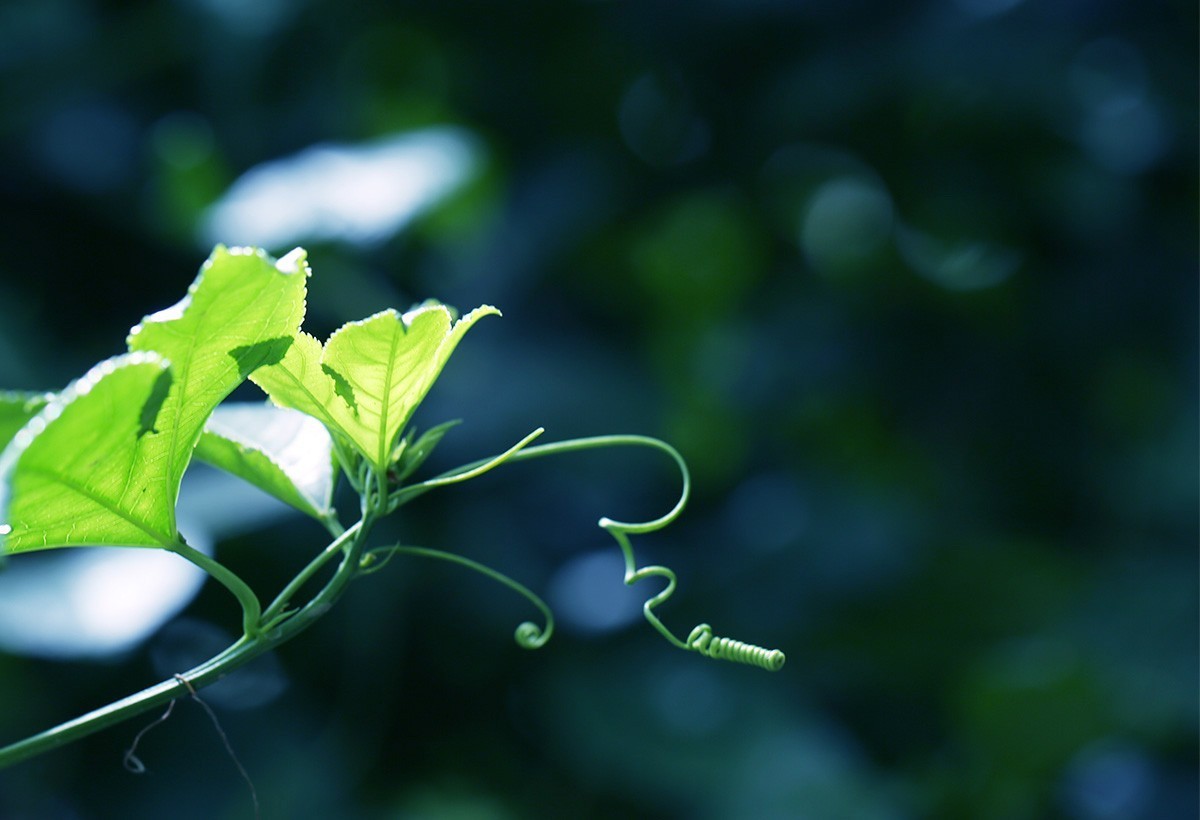 祝各位老师春节愉快！虎年好运！