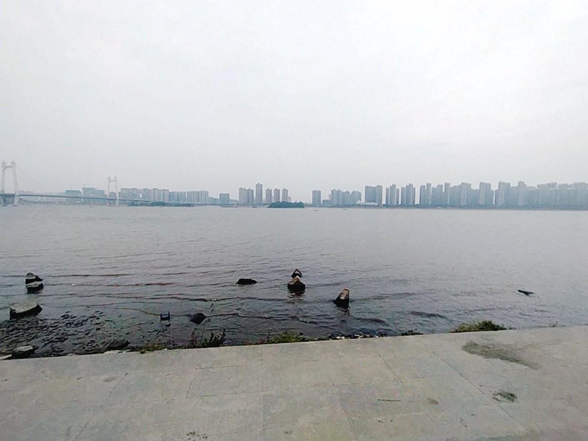 漫步星城 走街串巷（302）湘江落花茅舍晚