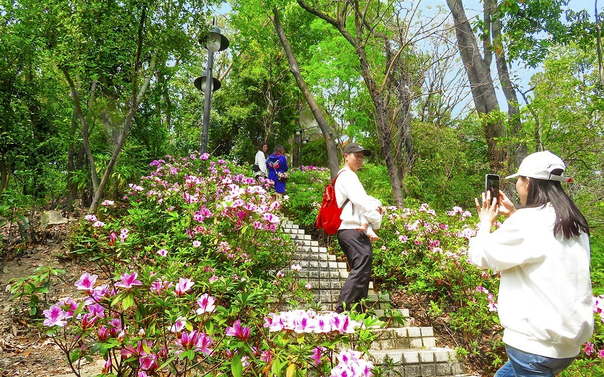 23101 ─ 春游鸿鹄山