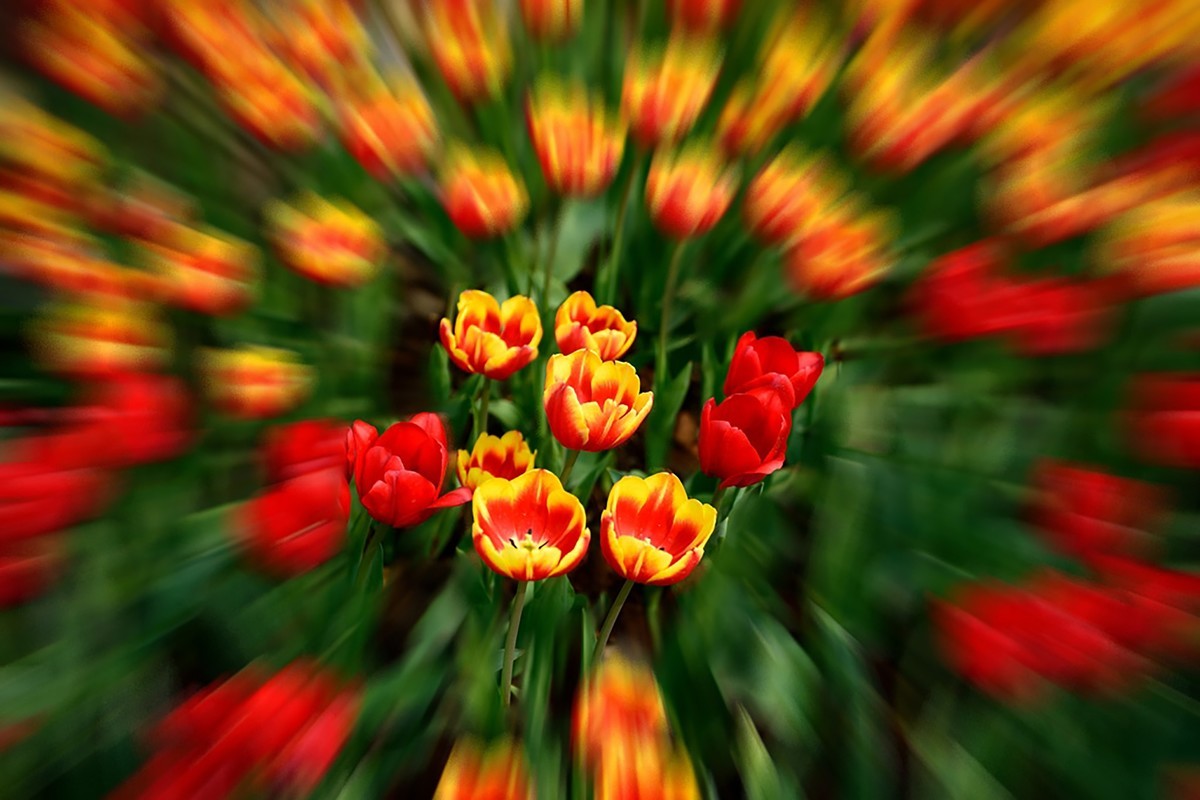 【万花筒】