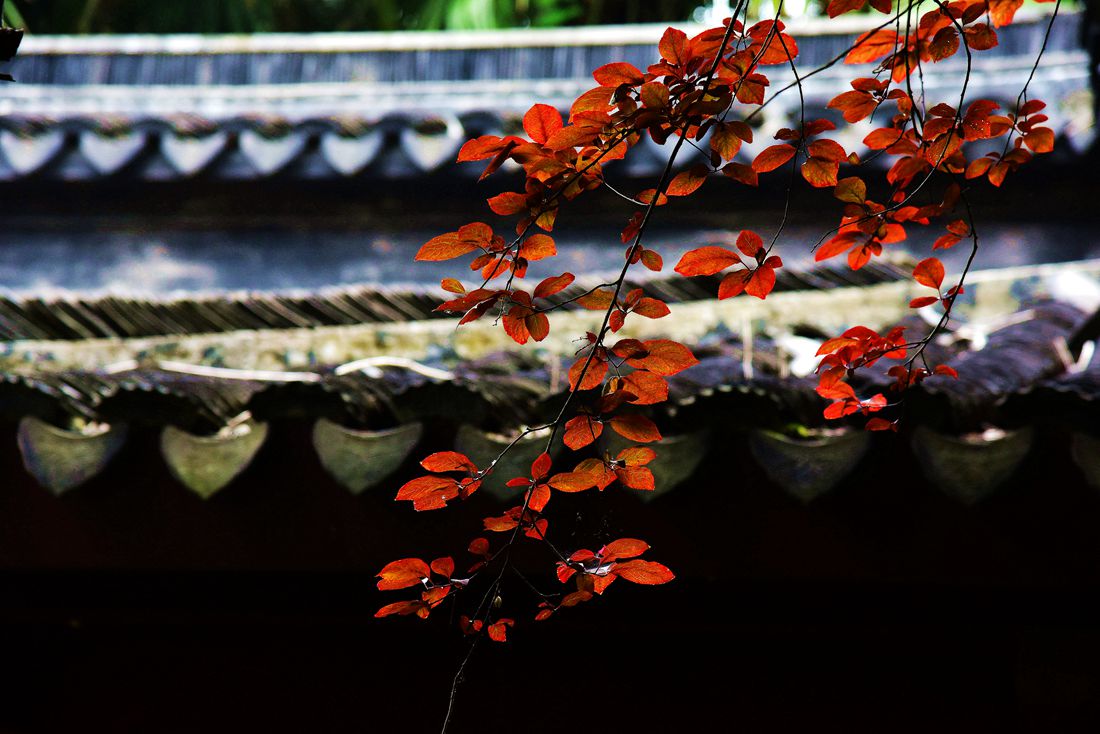 镇江三山之焦山2