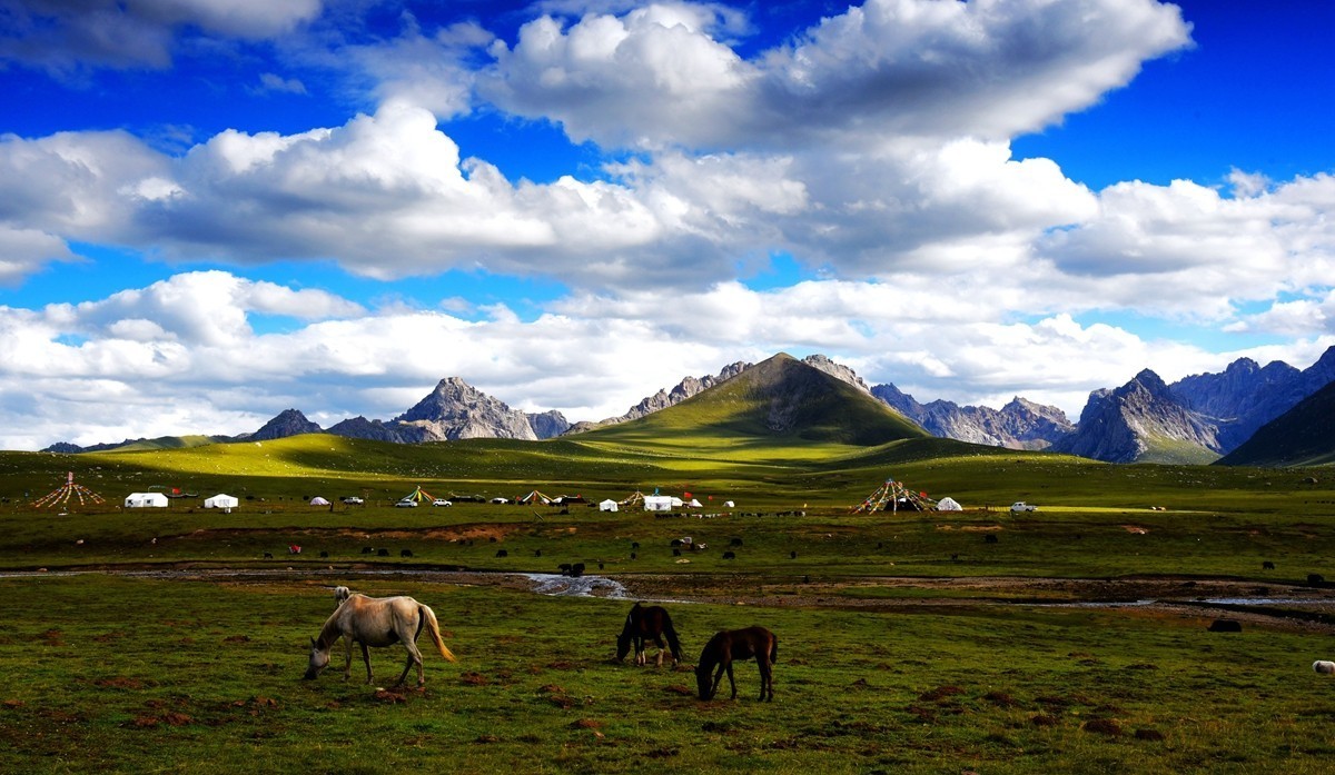 青海路途随拍【久治县】【2】