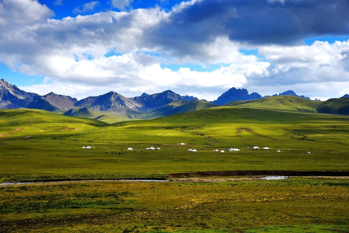 青海路途随拍【久治县】【3】