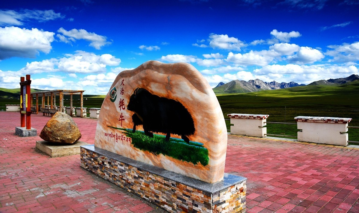 青海路途随拍【久治县】【3】