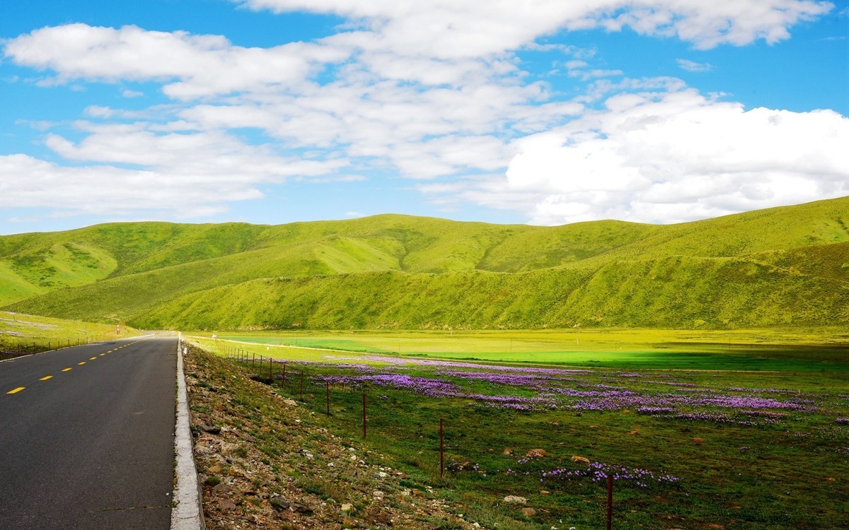 青海路途随拍【久治县】【3】
