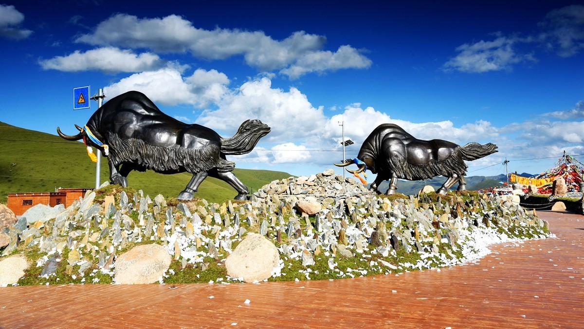 青海路途随拍【久治县】【3】