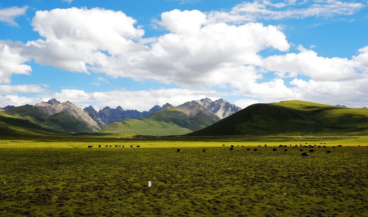 青海路途随拍【久治县】【5】