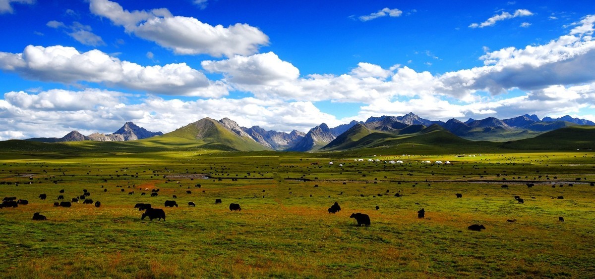 青海路途随拍【久治县】【5】