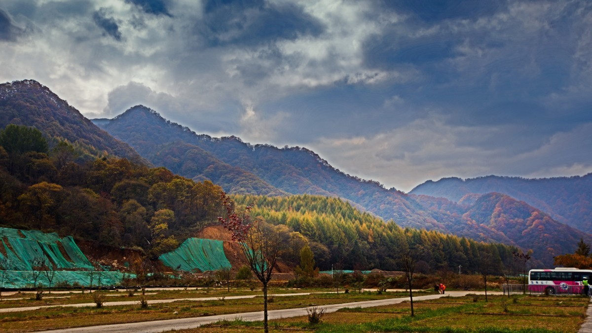 米仓山秋色（续五）。