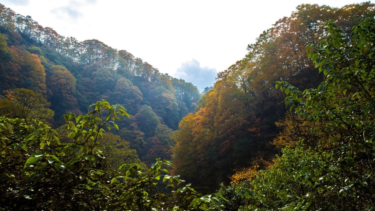 米仓山秋色续五