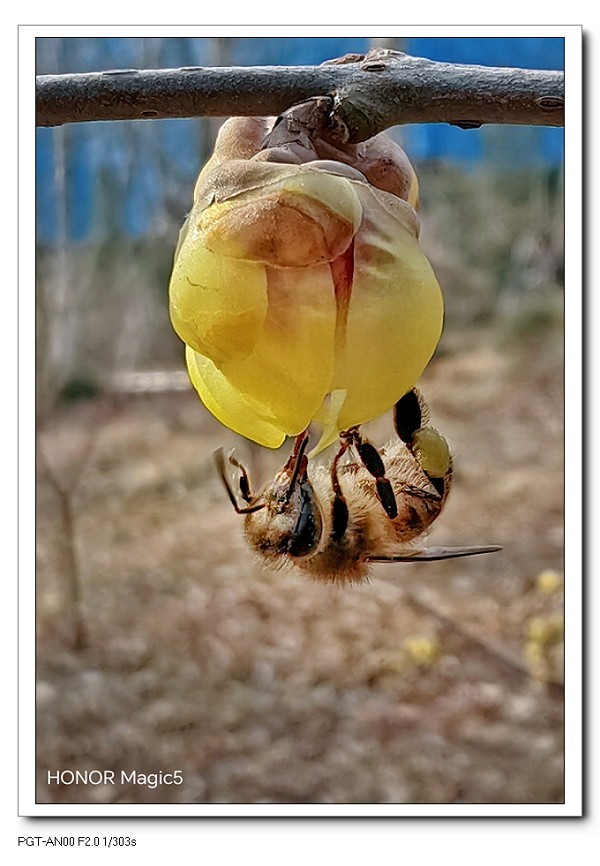 《过年片》过年好！拜个晚年！终于过完年了一切恢复往常真不容易。一切重新开始吧！