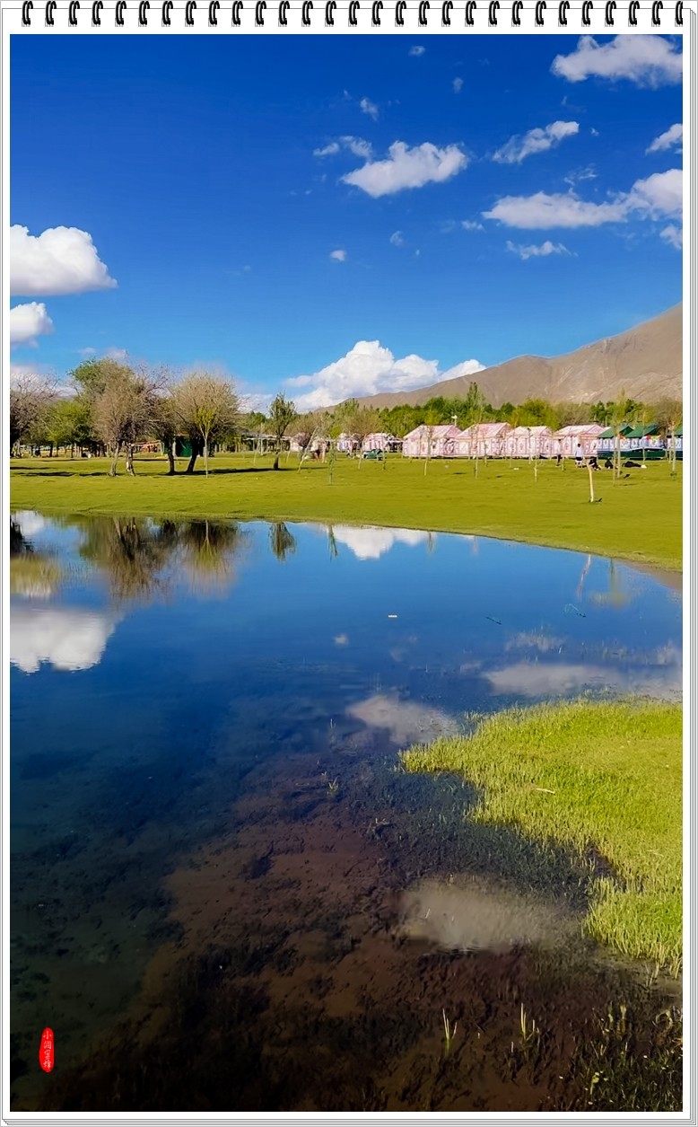 2024年-伊利风光纪实抓拍-0469