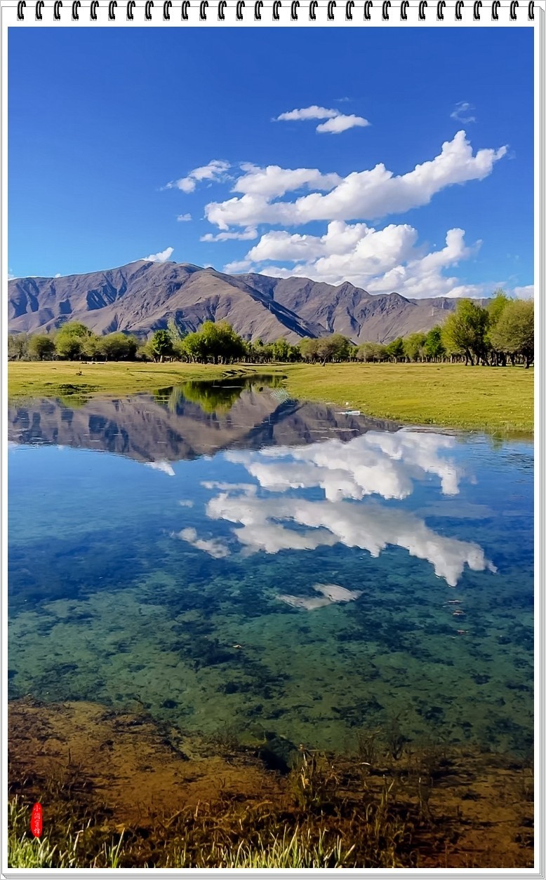 2024年-伊利风光纪实抓拍-0469