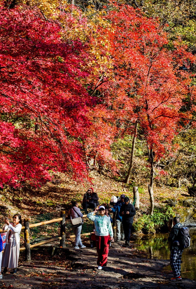 外出随拍（续210）.