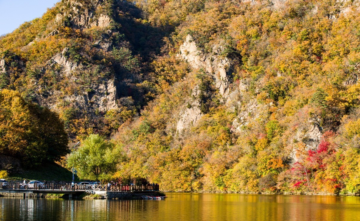 外出随拍（续210）.