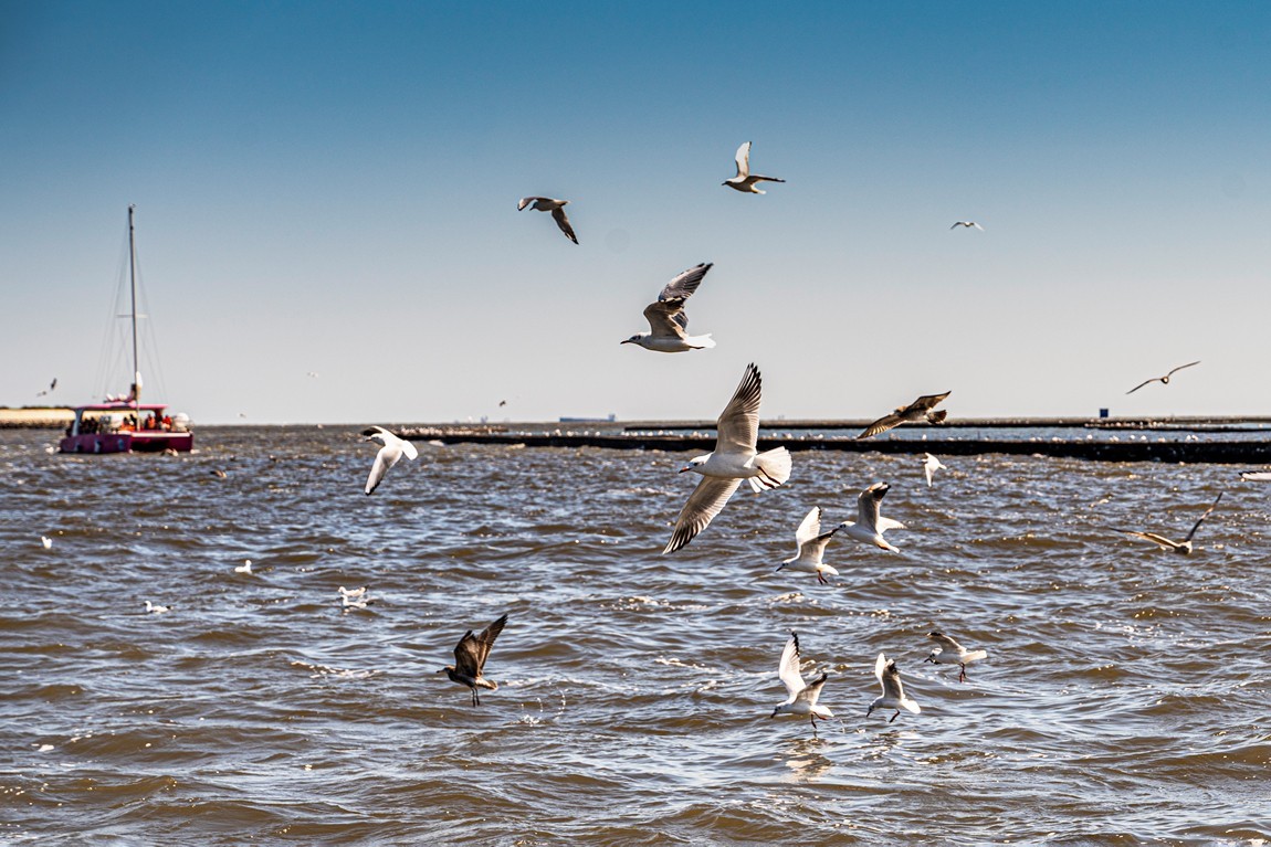 行摄河北--北戴河【6】