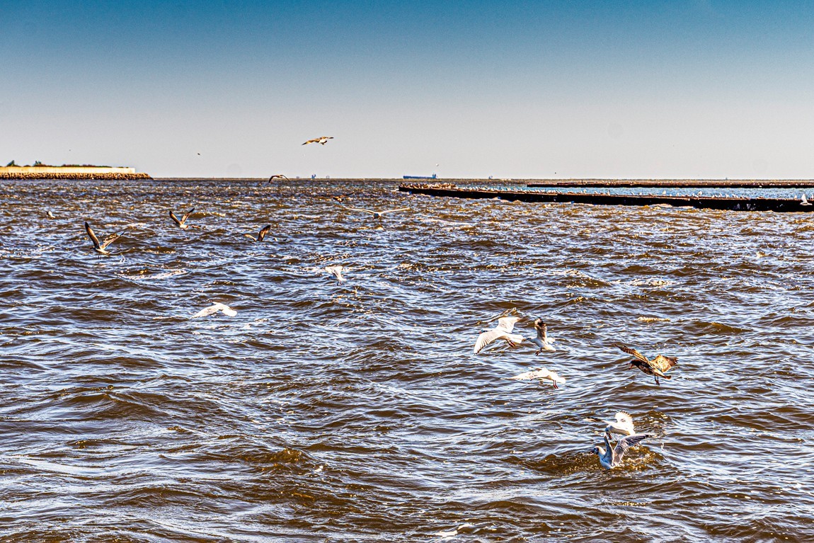 行摄河北--北戴河【6】