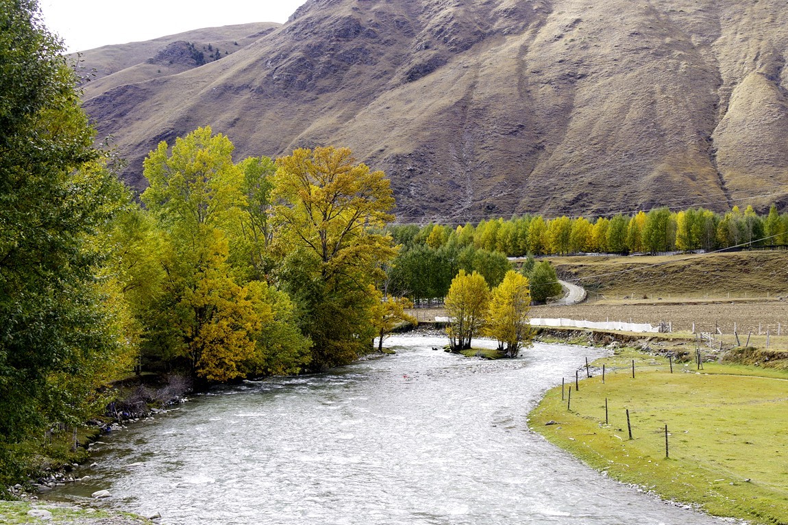行走在318国道--新都桥段【13】