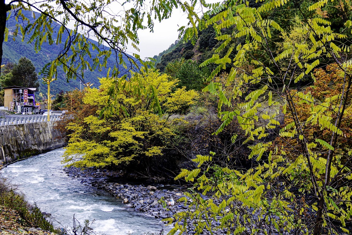 行走在318国道--新都桥段【13】