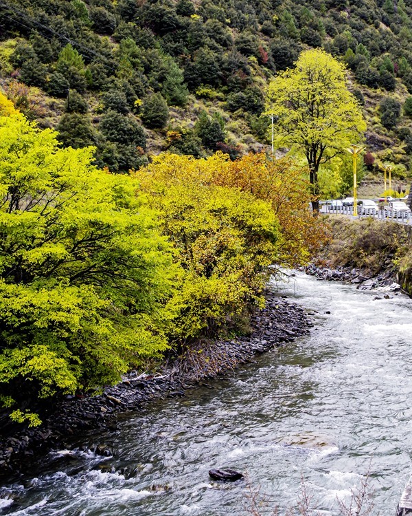 行走在318国道--新都桥段【13】