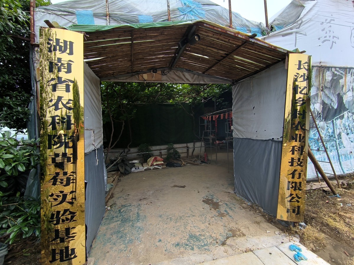 漫步星城 走街串巷（689）省农科院基地