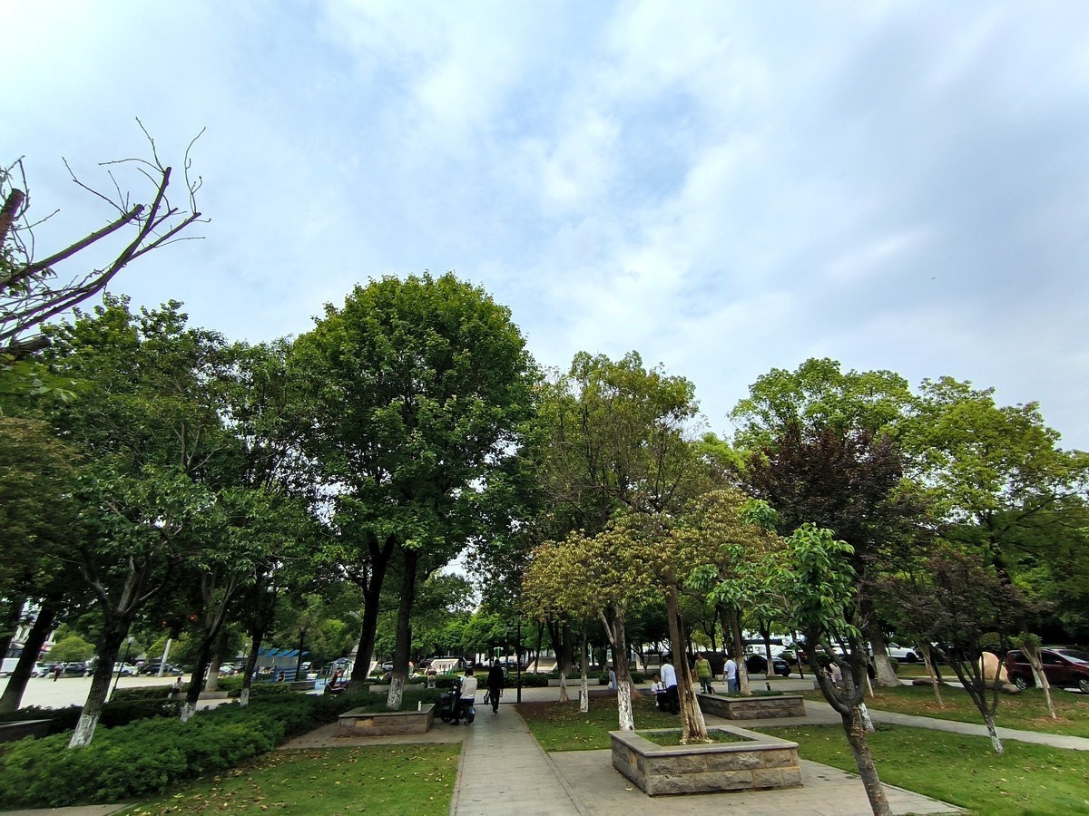 漫步星城 走街串巷（689）省农科院基地